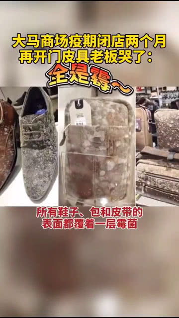 马来西亚皮具老板都要哭了时隔两月重新开门营业,皮革制品几乎全部发霉